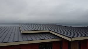 Best Commercial Roofing Services  in Guttenberg, IA